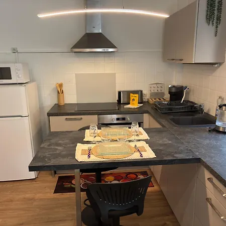 Apartment Cosy - 2 Guests - Terrace - Strasbourg Bischheim